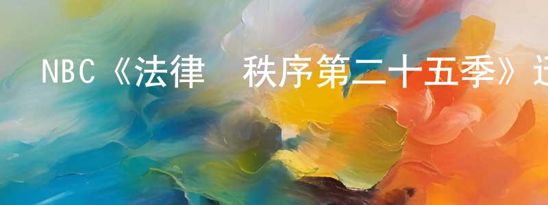 陳松金發布NBC《法律與秩序第二十五季》迅雷下載/在線觀看/百度云-犯罪/歷史載-美劇天堂